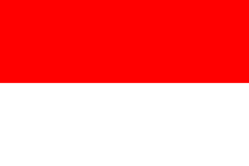 INDONESIA SPORT KEMPO UNION